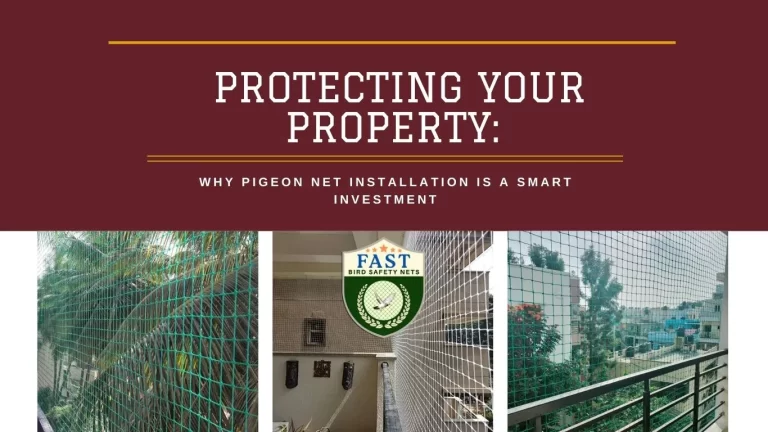 Protecting Your Property: Why Pigeon Net Installation Is a Smart Investment
