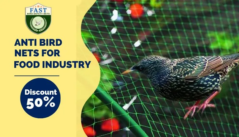 Anti Bird Nets in Hyderabad