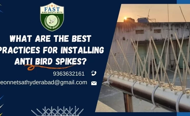 What Are the Best Practices for Installing Anti Bird Spikes?