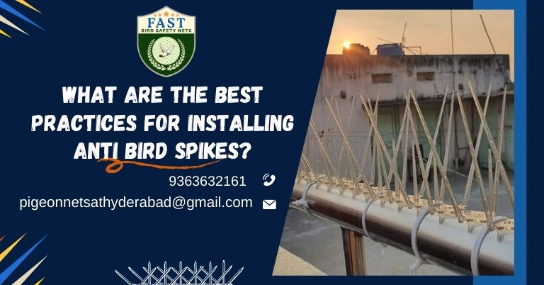 Best practices for installing anti bird spikes