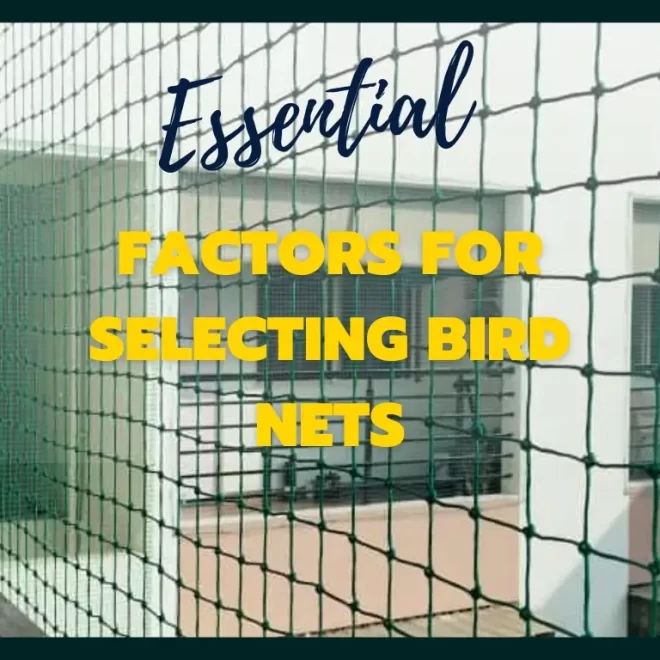 Essential Factors to Consider When Choosing Bird Control Nets for Your Home