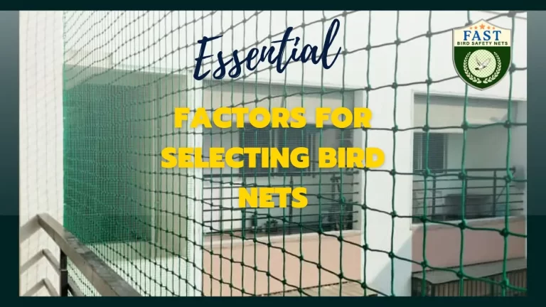 Essential Factors to Consider When Choosing Bird Control Nets for Your Home