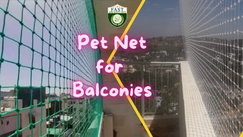 Balcony Safety for Pets in Hyderabad: A Guide to Protecting Your Furry Friends with Pet Nets