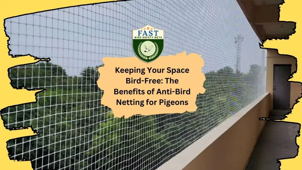 Anti Bird Netting for Pigeons