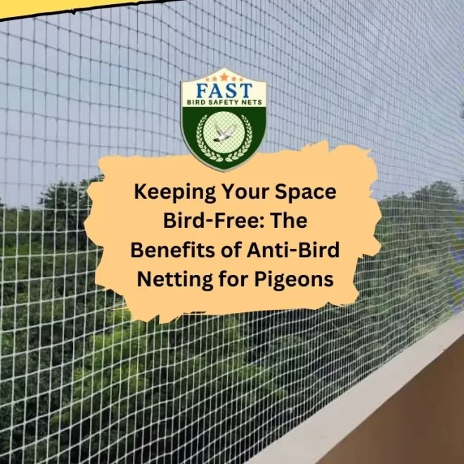 Keeping Your Space Bird-Free: The Benefits of Anti-Bird Netting for Pigeons