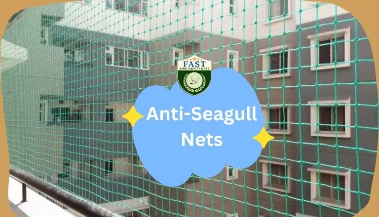 Anti Seagull Nets