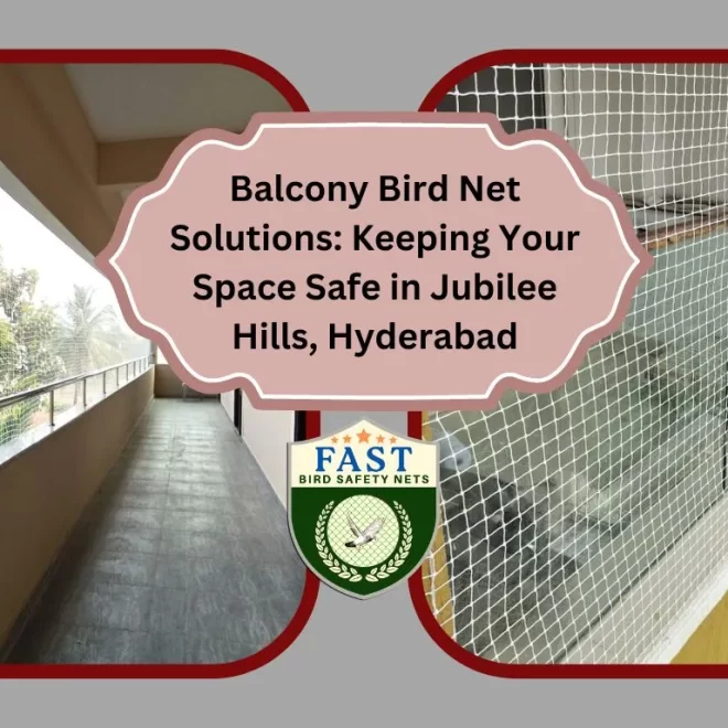 Balcony Bird Net Solutions: Keeping Your Space Safe in Jubilee Hills, Hyderabad