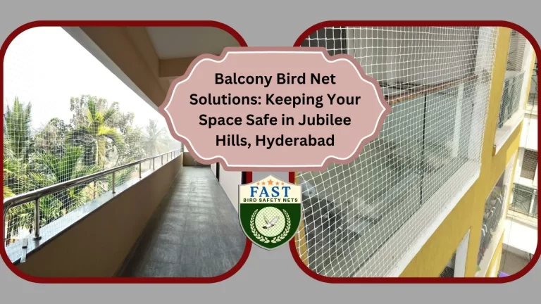 Balcony Bird Net Solutions: Keeping Your Space Safe in Jubilee Hills, Hyderabad