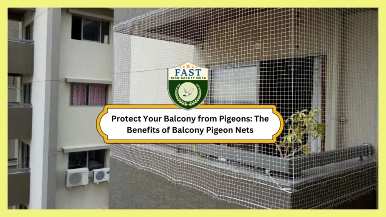 Protect Your Balcony from Pigeons: The Benefits of Balcony Pigeon Nets