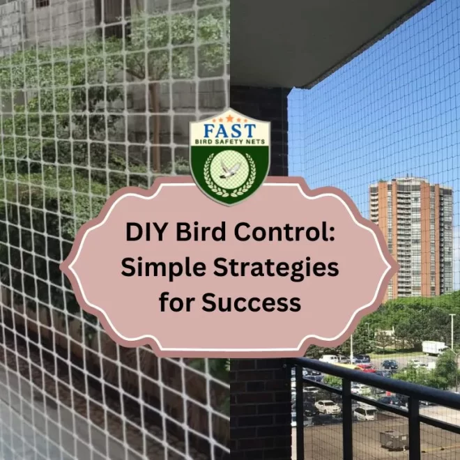 DIY Bird Control: Simple Strategies for Success
