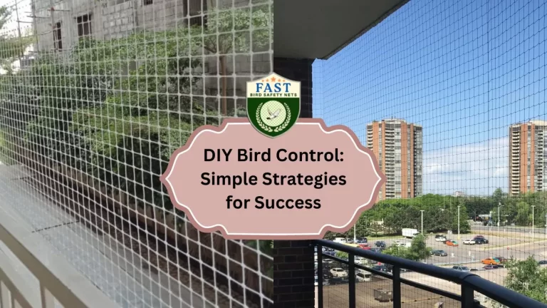 DIY Bird Control: Simple Strategies for Success