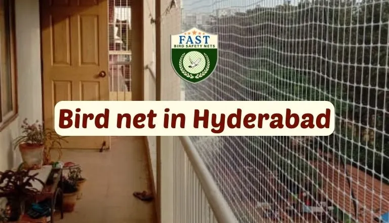 bird net in Hyderabad 