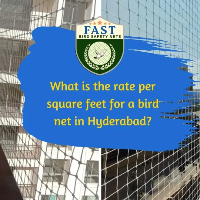 What is the rate per square feet for a bird net in Hyderabad?
