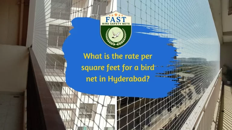 What is the rate per square feet for a bird net in Hyderabad?