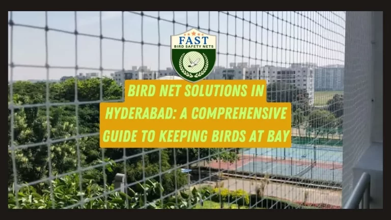 Bird Net Solutions in Hyderabad: A Comprehensive Guide to Keeping Birds at Bay
