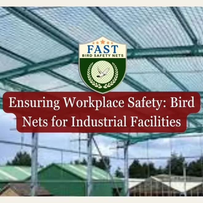 Ensuring Workplace Safety: Bird Nets for Industrial Facilities