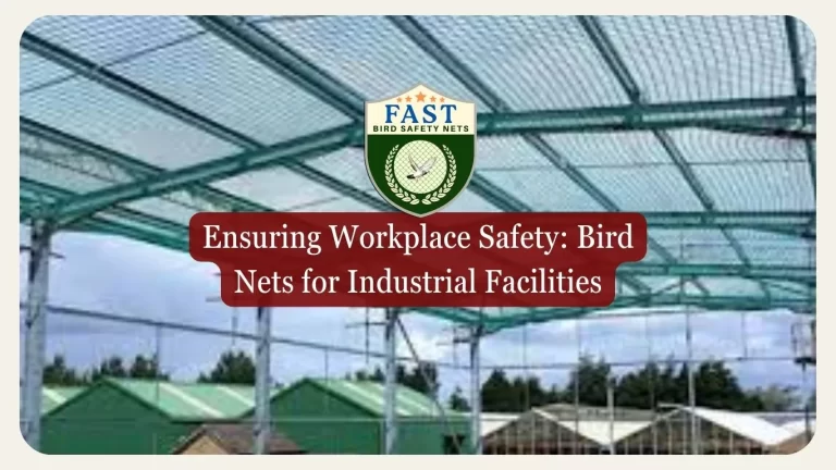 Ensuring Workplace Safety: Bird Nets for Industrial Facilities