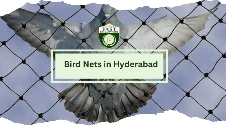 Bird Nets in Hyderabad