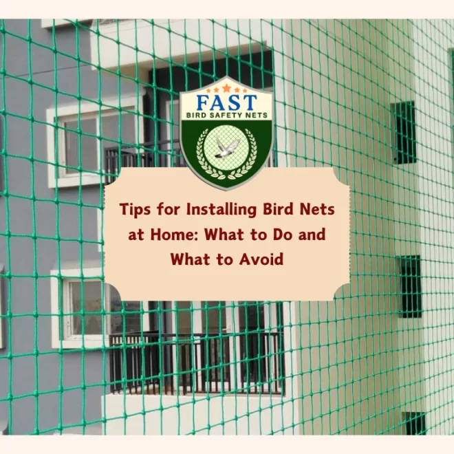 Tips for Installing Bird Nets at Home: What to Do and What to Avoid