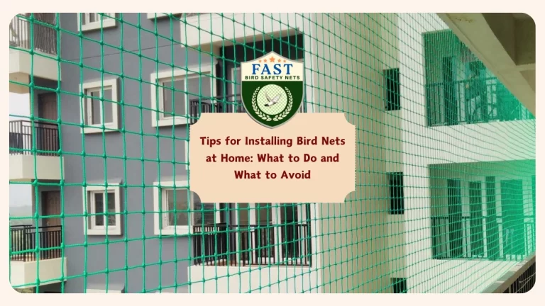 Tips for Installing Bird Nets at Home: What to Do and What to Avoid