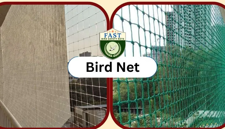 Bird Nets in Hyderabad