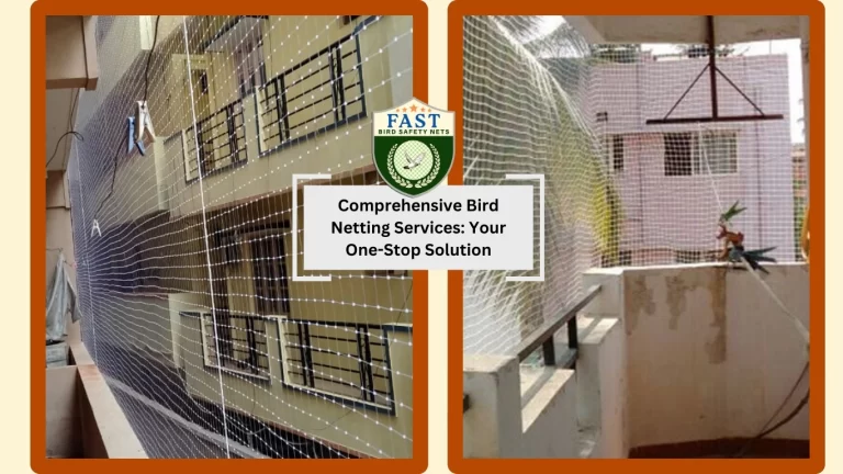 Comprehensive Bird Netting Services: Your One-Stop Solution
