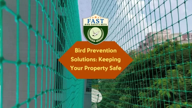 Bird Prevention Solutions: Keeping Your Property Safe
