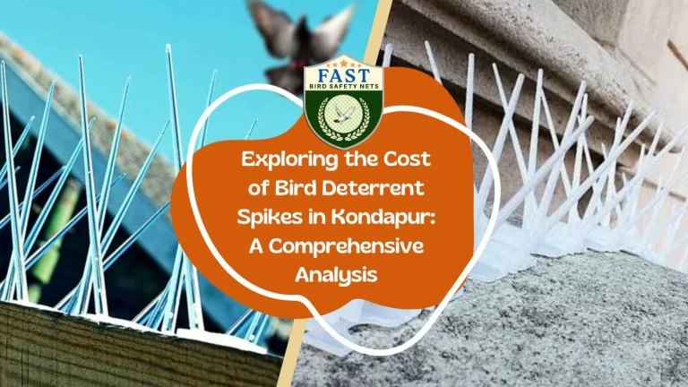 Exploring the Cost of Bird Deterrent Spikes in Kondapur: A Comprehensive Analysis