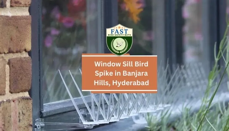 bird spikes for window sills