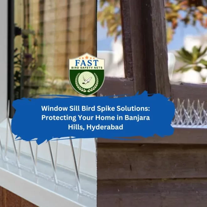 Bird Spike Solutions for window sills: Protecting Your Home in Banjara Hills, Hyderabad