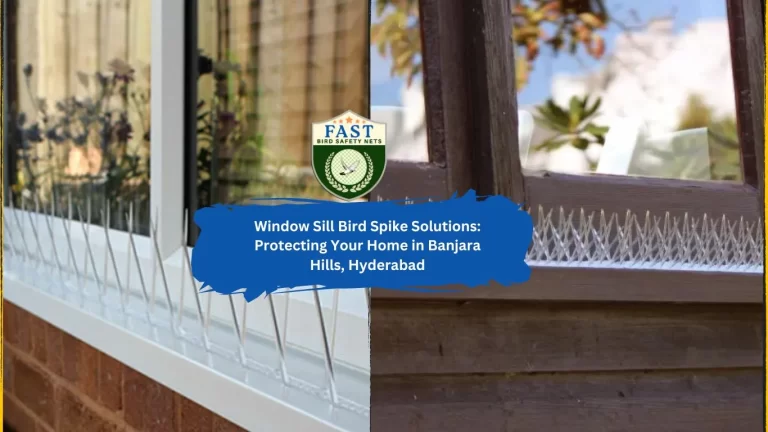 Bird Spike Solutions for window sills: Protecting Your Home in Banjara Hills, Hyderabad