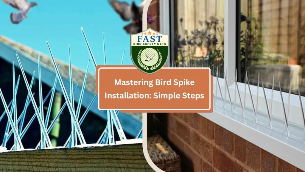 Bird Spikes Installation in Simple Steps