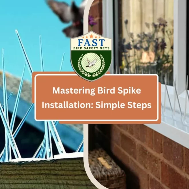 Mastering Bird Spike Installation: Simple Steps