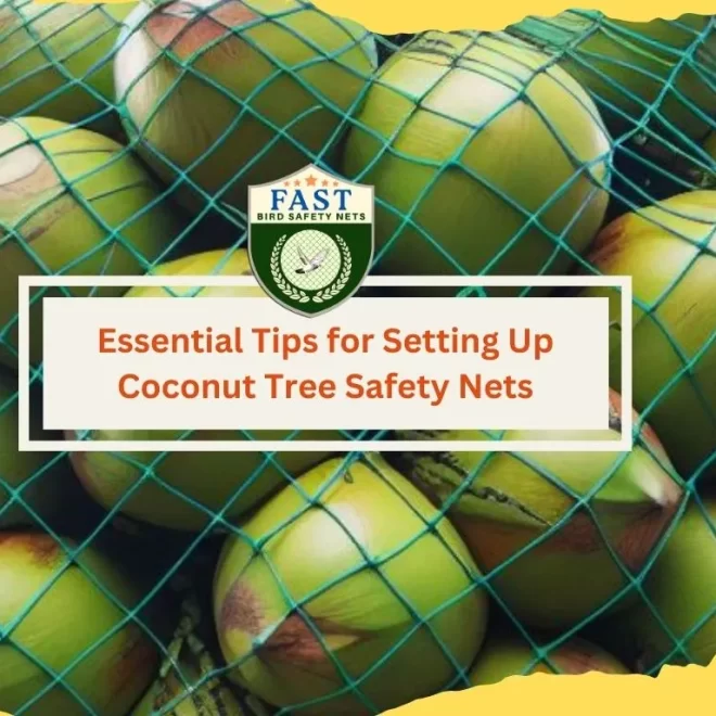 Essential Tips for Setting Up Coconut Tree Safety Net