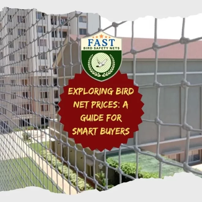 Exploring Bird Net Prices: A Guide for Smart Buyers