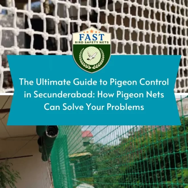 The Ultimate Guide to Pigeon Control in Secunderabad: How Pigeon Nets Can Solve Your Problems