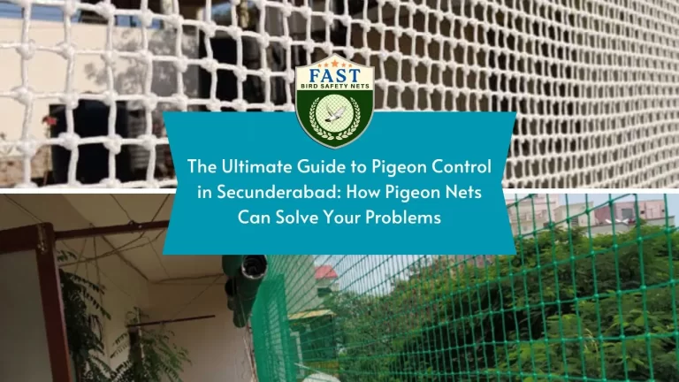 The Ultimate Guide to Pigeon Control in Secunderabad: How Pigeon Nets Can Solve Your Problems