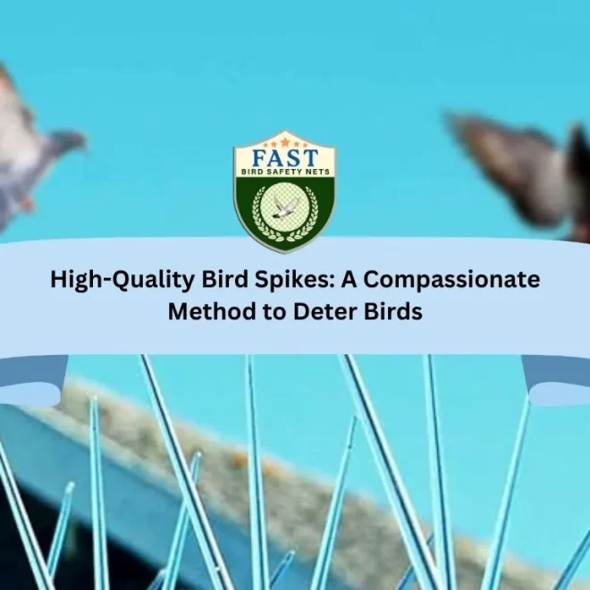 High-Quality Bird Spike: A Compassionate Method to Deter Birds