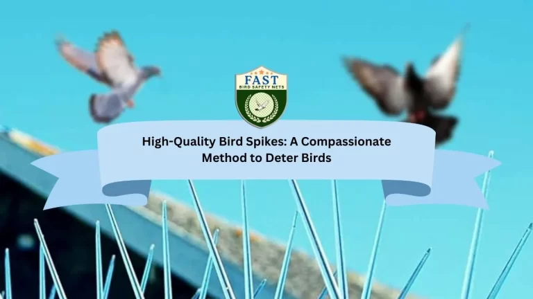 High-Quality Bird Spike: A Compassionate Method to Deter Birds