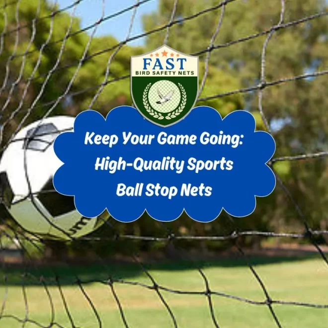 Keep Your Game Going: High-Quality Sports  Nets
