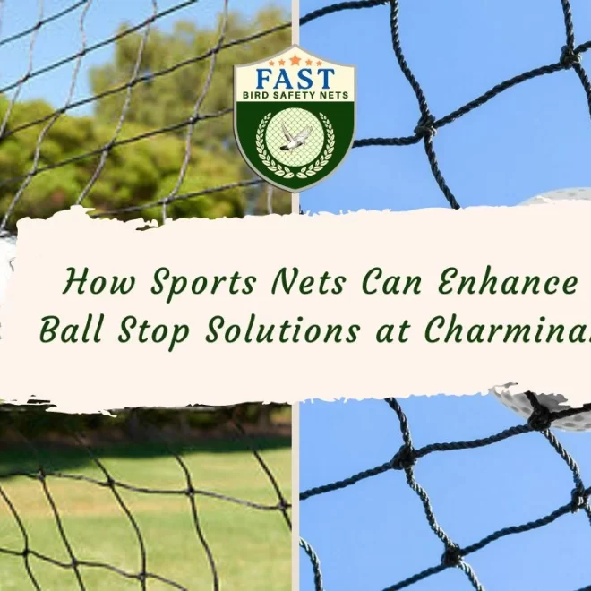 How Sports Nets Can Enhance Ball Stop Solutions at Charminar