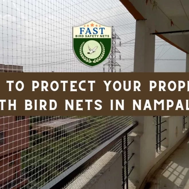 How to Protect Your Property with Bird Nets in Nampally