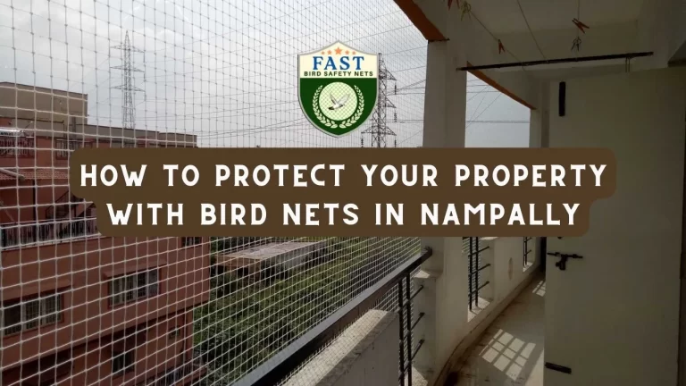 How to Protect Your Property with Bird Nets in Nampally