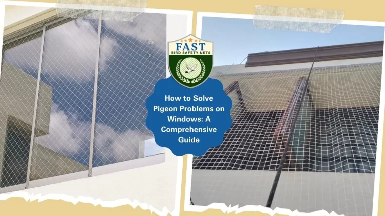 How to Solve Pigeon Problems on Windows: A Comprehensive Guide