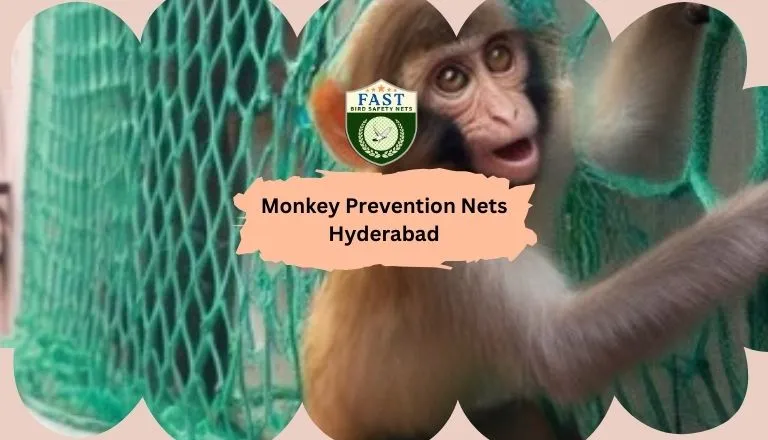 Monkey Prevention Nets in Hyderabad