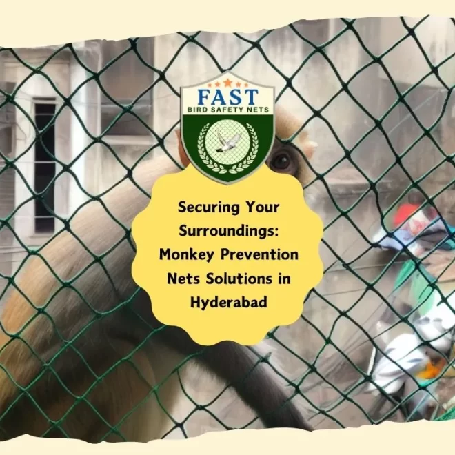 Securing Your Surroundings: Monkey Prevention Nets Solutions in Hyderabad