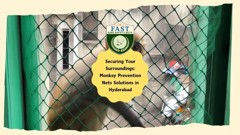 Securing Your Surroundings: Monkey Prevention Nets Solutions in Hyderabad