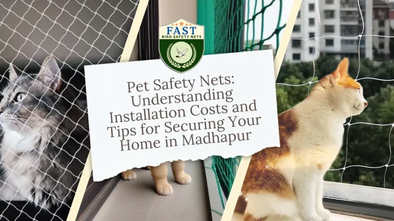 Pet Safety Nets: Understanding Installation Costs and Tips for Securing Your Home in Madhapur
