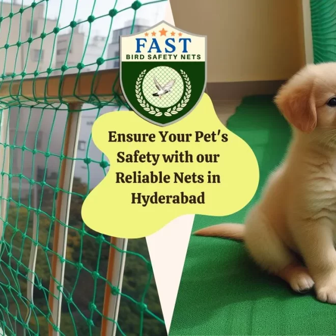 Ensure Your Pet’s Safety with Reliable Nets in Hyderabad