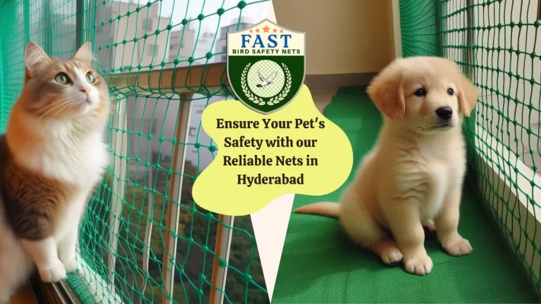 Ensure Your Pet’s Safety with Reliable Nets in Hyderabad